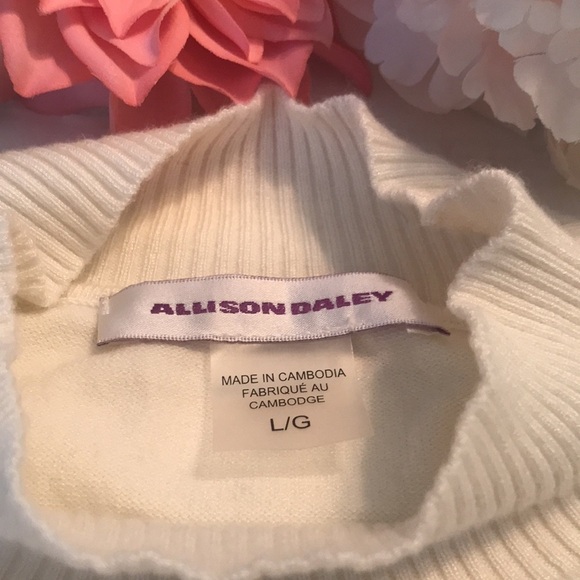 Allison Daley Ribbed Knit Sweater Size Large Cream Pullover - Picture 5 of 11